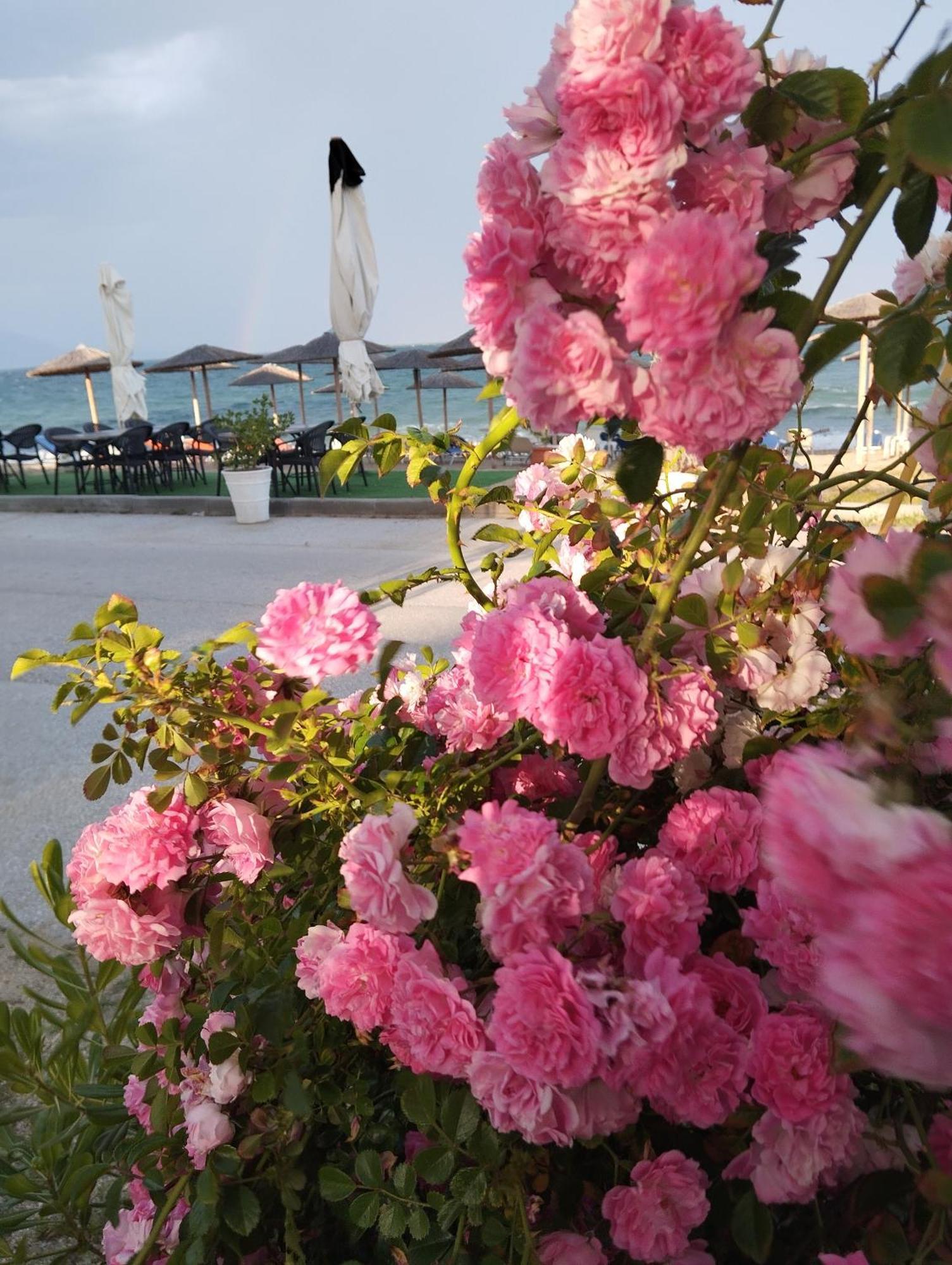 Bella Vista Apartments เนอาวรัสนา ภายนอก รูปภาพ